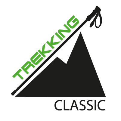 Technology icon